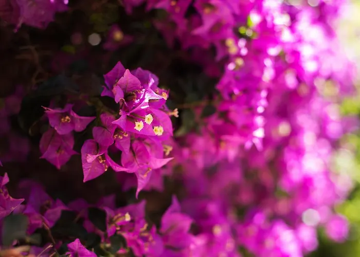 Relax City Center Flat Appartement